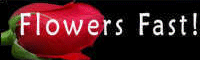 Flowers Fast