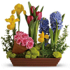 Teleflora: Spring Favorites