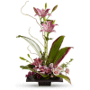 Teleflora: Imagination Blooms with Cymbidium Orchids